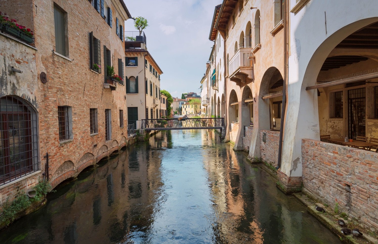 about-history-treviso-italy-left-trevisana